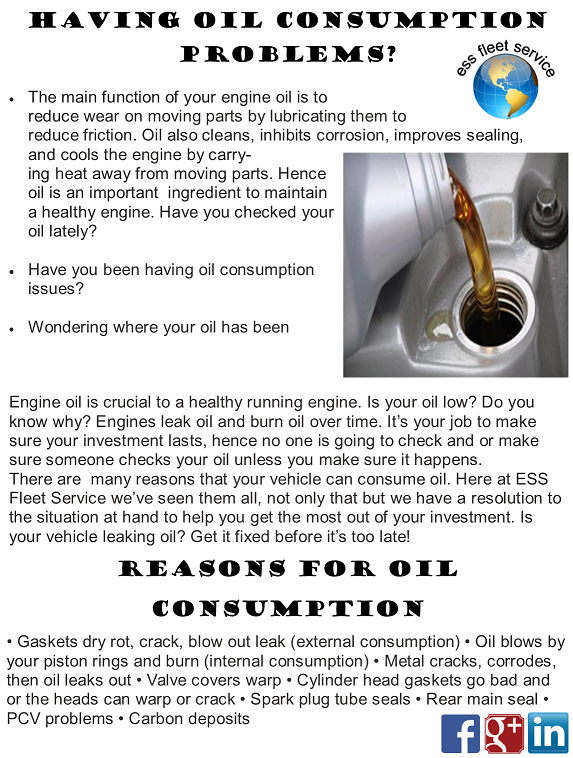 Oil Consumption
